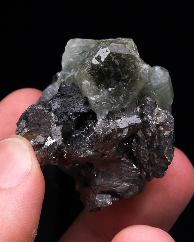 （欧洲经典）绿色磷灰石与砷辉石 FLOATER 集群 - 高度: 3.7 cm - 闊度: 3.4 cm- 52 g - (1) #2.1