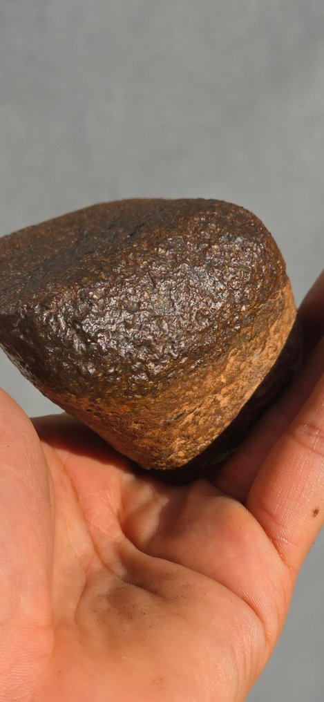 Noroeste da África 18237 Ureilite - 482 g - (1) #1.0