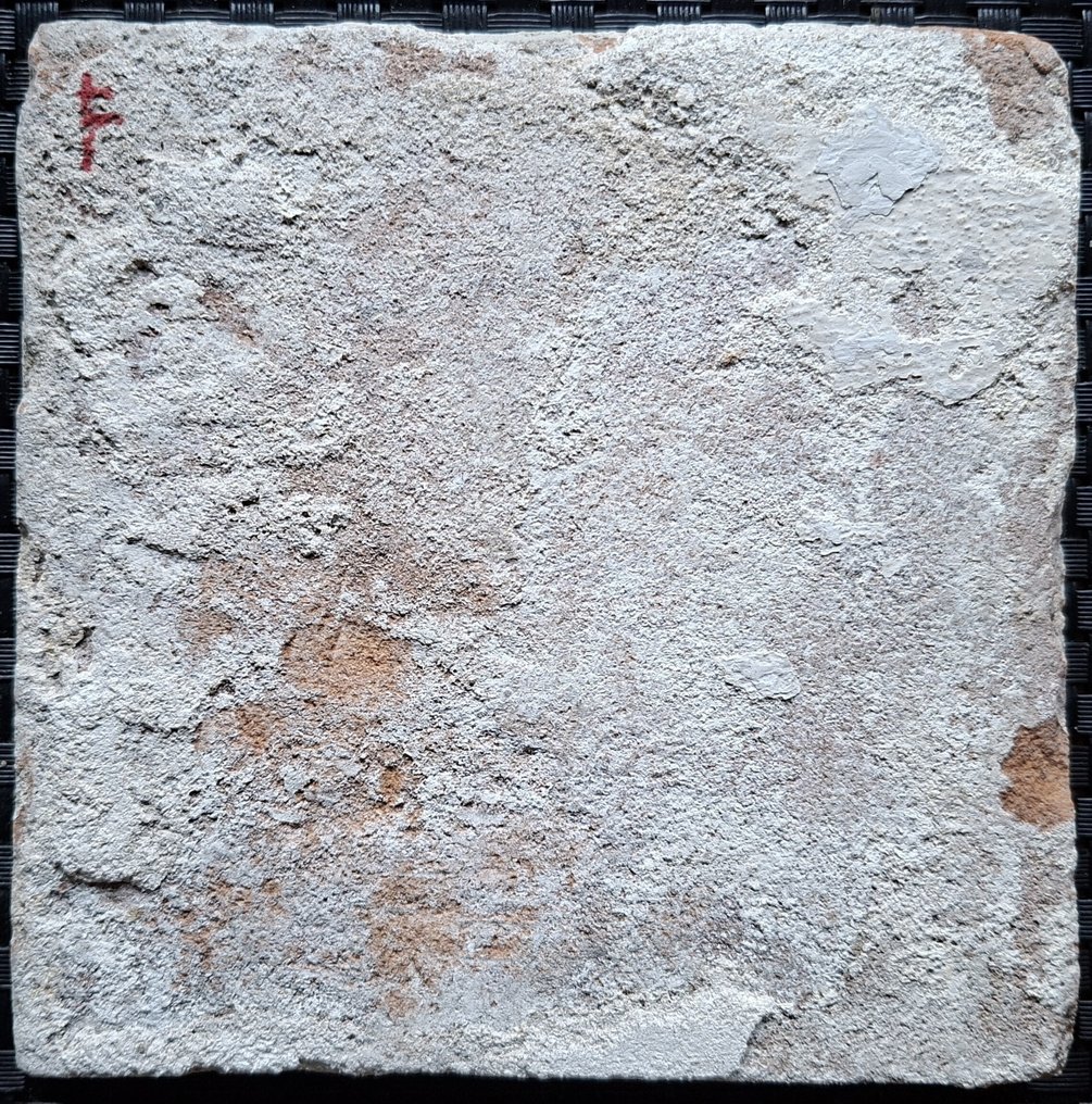 Πλακάκι - Αρχαίο οβάλ πλακάκι με λουλούδι. - 1600-1650 #1.0