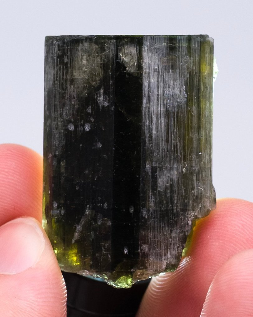 (EUROPEAN CLASSIC) grüner Apatit Einkristall - Höhe: 3.4 cm - Breite: 2.4 cm- 27 g - (1) #1.0