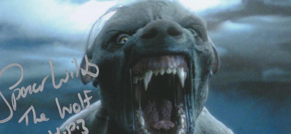 Harry Potter - Signed by Spencer Wilding (Werewolf Lupin) #3.2
