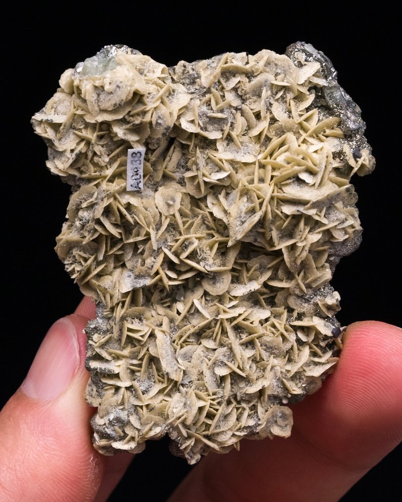 砷磷矿和磷灰石 在一块浮动的白云母和菱铁矿板上 - 高度: 5.7 cm - 闊度: 4.5 cm- 50 g - (1) #4.3