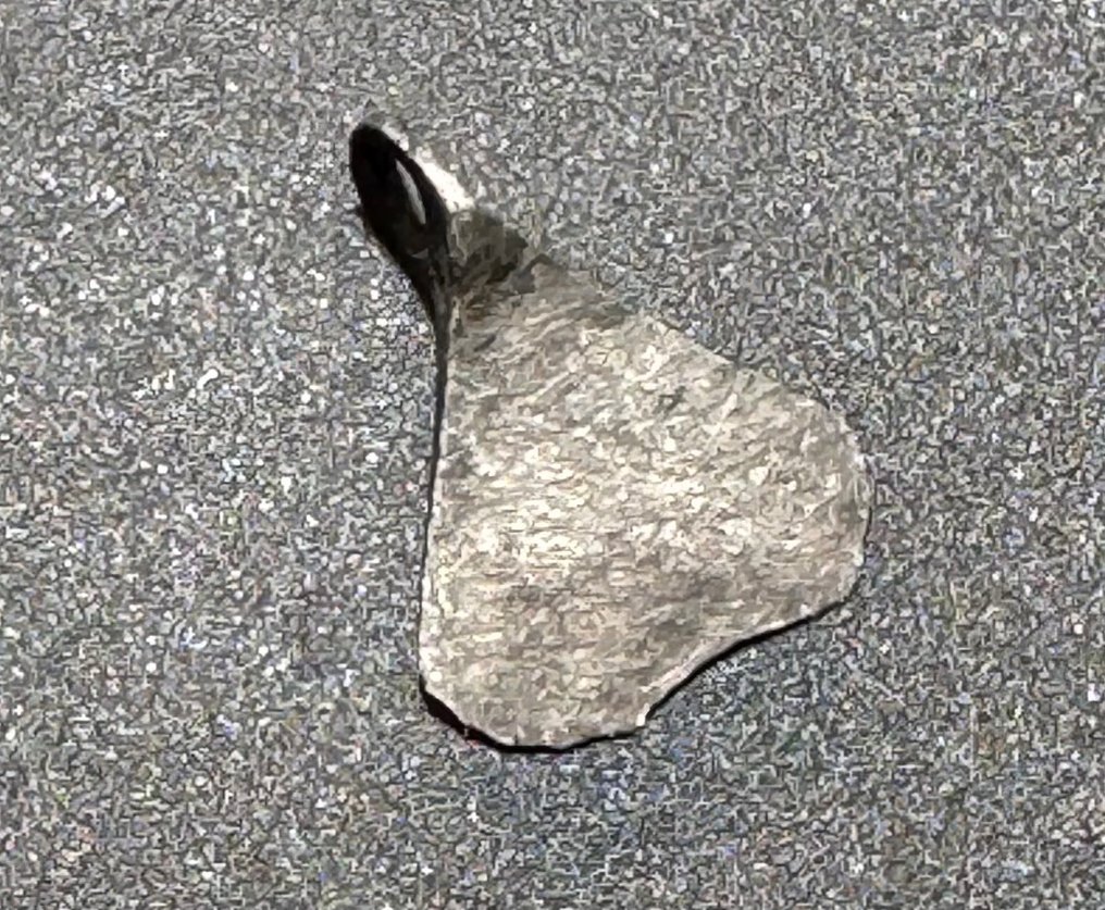 Vikingetiden Sølv Krigerens amulet formet som kampøkse med klassisk form.  (Ingen mindstepris) #1.0