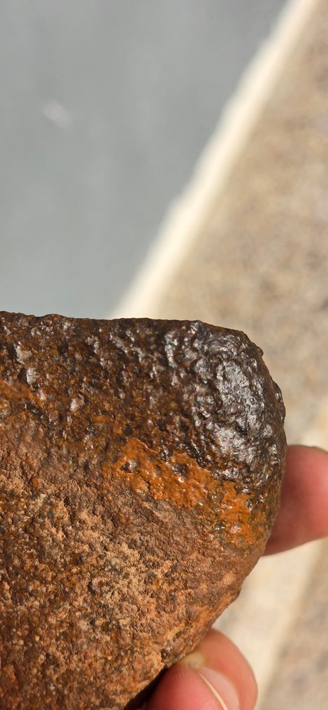 Noroeste da África 18237 Ureilite - 482 g - (1) #2.1