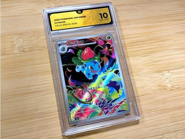Pokémon - 1 Graded card - フシギソウ / Ivysaur #065 Foil, Πλήρης τέχνη - GG 10 - Various sets - Επαληθευμένη και όχι βαθμολογημένη #1.0