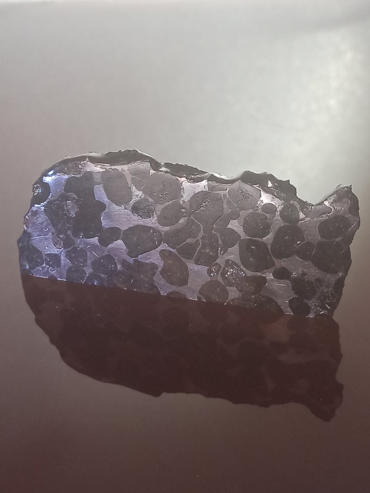 SERICHO - 巴拉石陨石 - 大抛光切片。无底价！！！ - 36.14 g #2.1