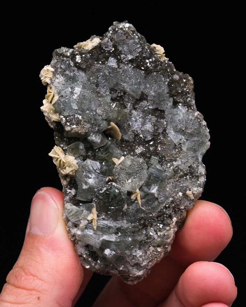 hellblauer Apatit Auf einer schwebenden Muskovit- und Sideritplatte. - Höhe: 7.2 cm - Breite: 4.6 cm- 44 g - (1) #1.0