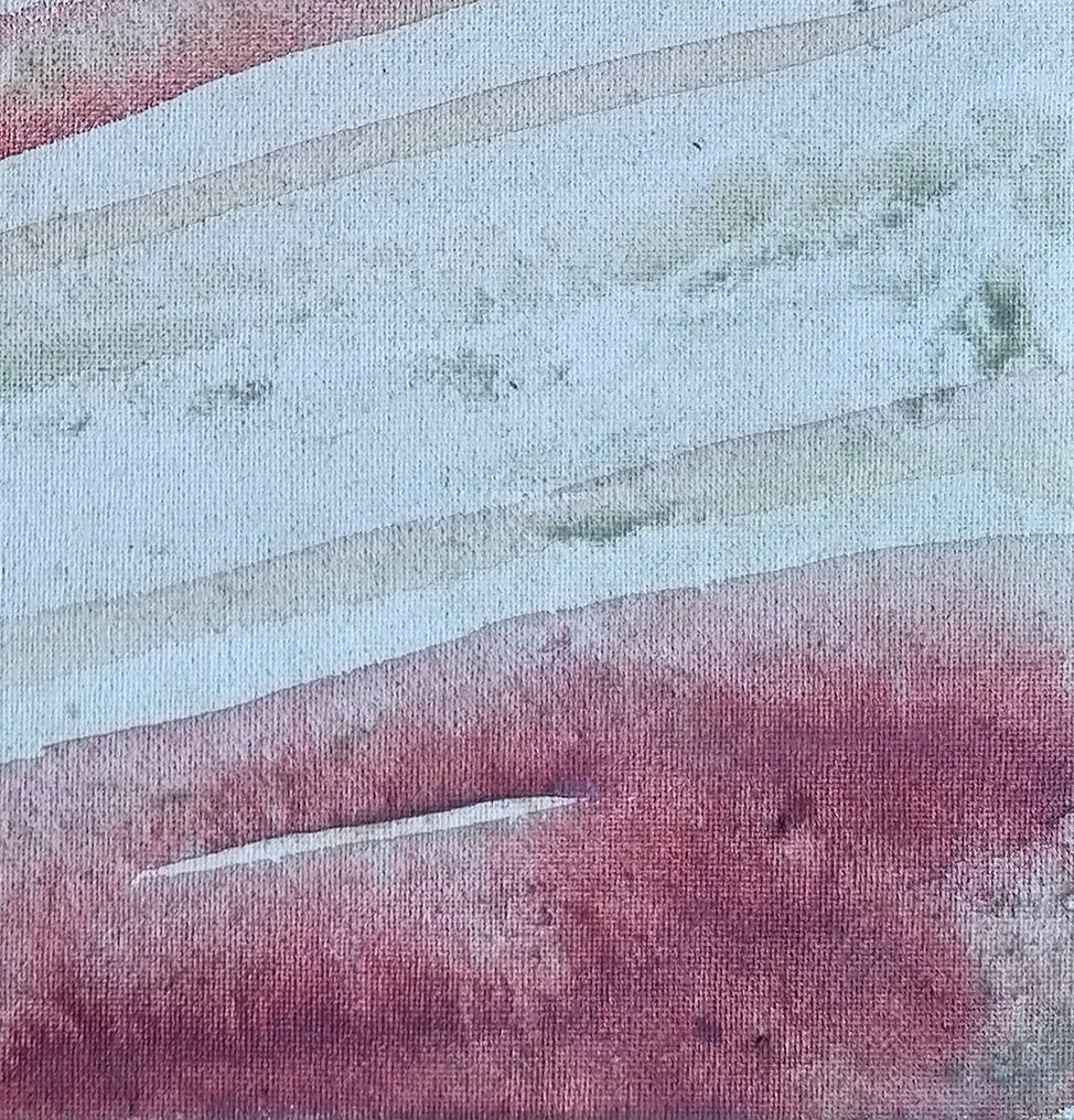 Guido Borelli - plinio #4.3