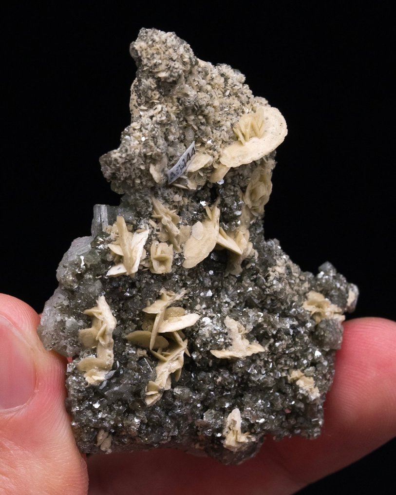 Ανοιχτό πράσινο apatite Σε μια επιπλέον πλάκα μασκοβίτη και σιδηρίτη. - Ύψος: 5.3 cm - Πλάτος: 4.5 cm- 22 g - (1) #4.3