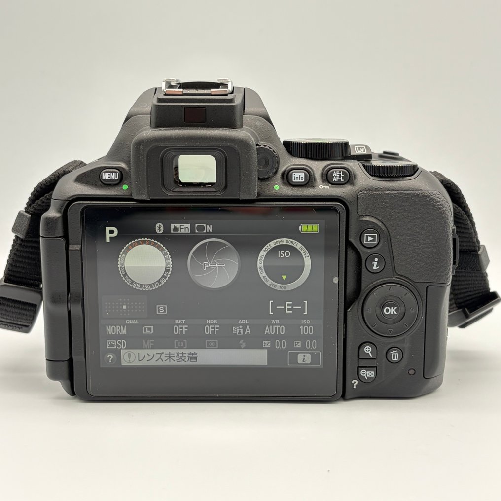 Nikon D5600 18-55mm VR 70-300mm VR Kit 单镜头反光相机 (SLR) #4.3