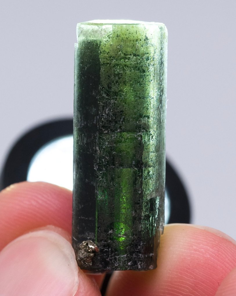 稀有宝石：磷灰石晶体 具有标记清晰的色彩区域 - 高度: 2.8 cm - 宽度: 1 cm- 6 g - (1) #2.1