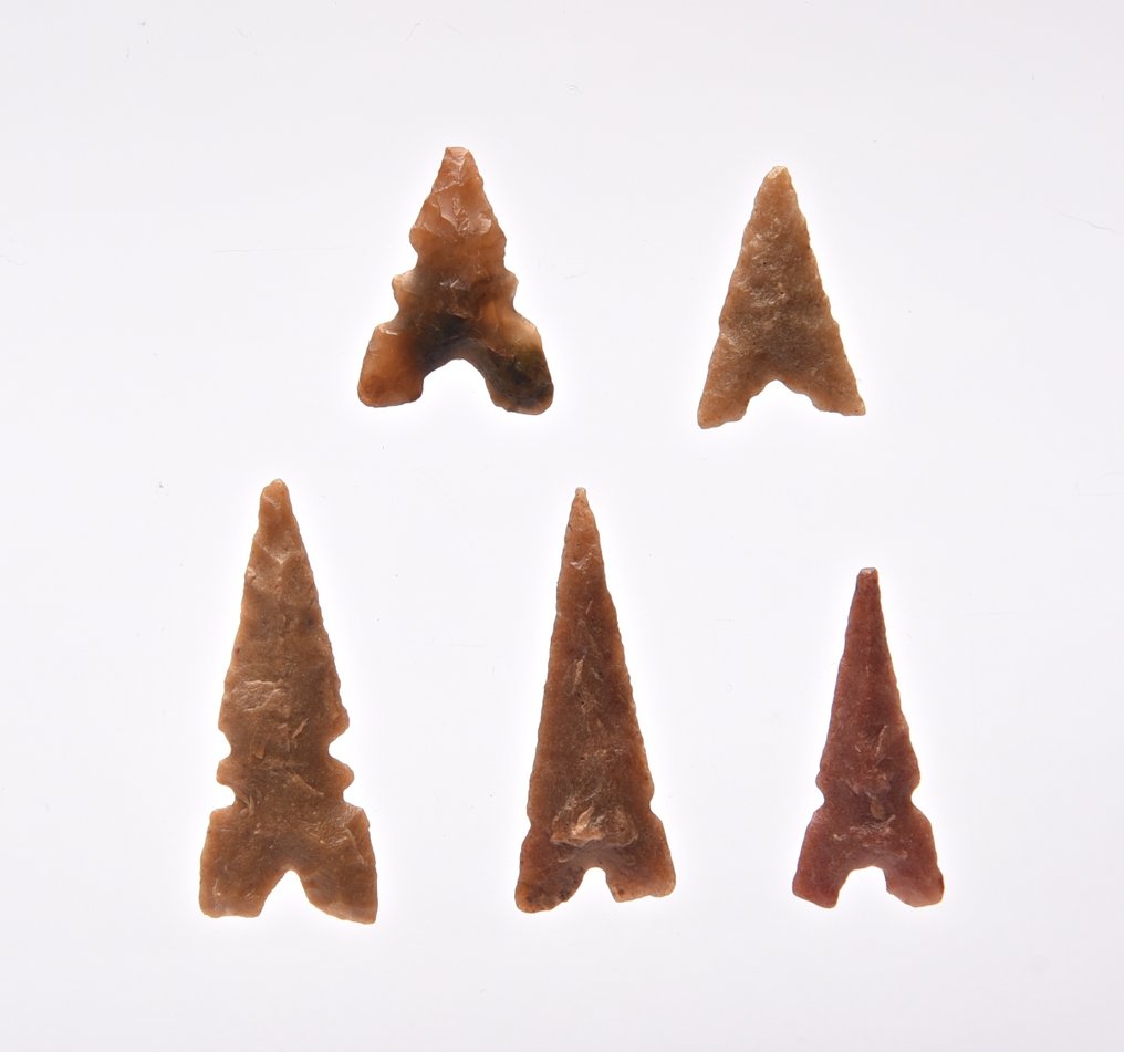 5 νεολιθικές αιχμές βελών vuursteen/kwartsiet Κεφαλή βέλους  (χωρίς τιμή ασφαλείας) #1.0