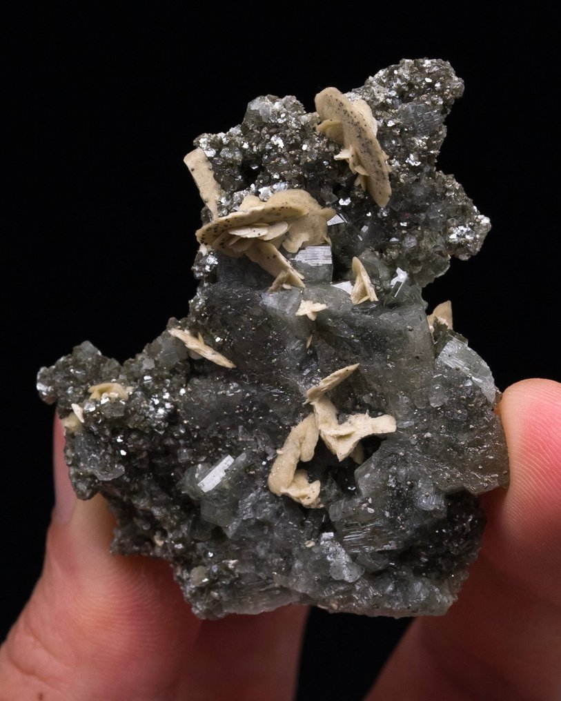 Ανοιχτό πράσινο apatite Σε μια επιπλέον πλάκα μασκοβίτη και σιδηρίτη. - Ύψος: 5.3 cm - Πλάτος: 4.5 cm- 22 g - (1) #2.1