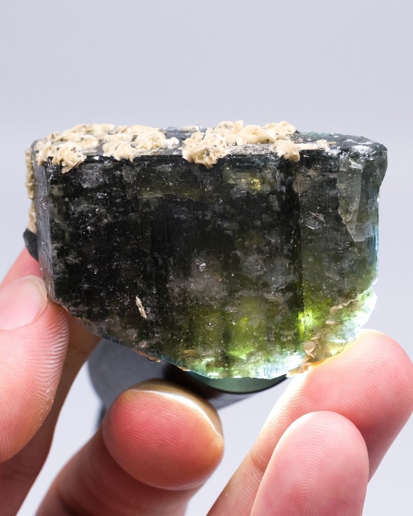 （欧洲经典）绿萤石 单晶伴有菱铁矿玫瑰花簇 - 高度: 3.3 cm - 宽度: 5.3 cm- 67 g - (1) #1.0