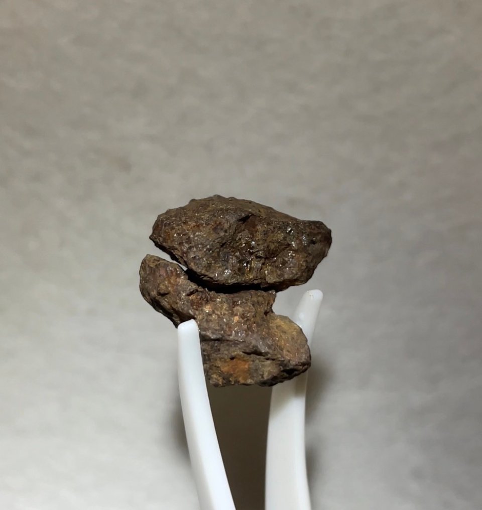 Vaca Muerta meteoritt Mesosiderite - 6.4 g #2.1