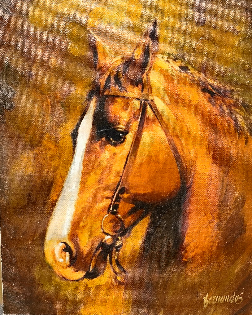 Fernando Fernández (Barcelona 1940-2010) - Cabeza de caballo #1.0