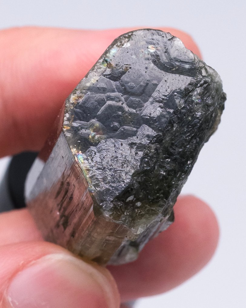 (EUROPEAN CLASSIC) grüner Apatit Einkristall - Höhe: 3.4 cm - Breite: 2.4 cm- 27 g - (1) #1.0