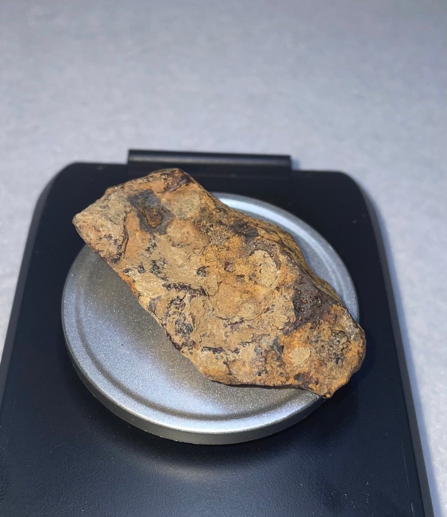 Agoudal Meteorito de hierro - 58.6 g #2.1