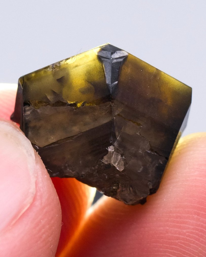 （葡萄牙经典）宝石锡石双晶 双晶体 - 高度: 1.4 cm - 宽度: 1.6 cm- 7 g - (1) #1.0