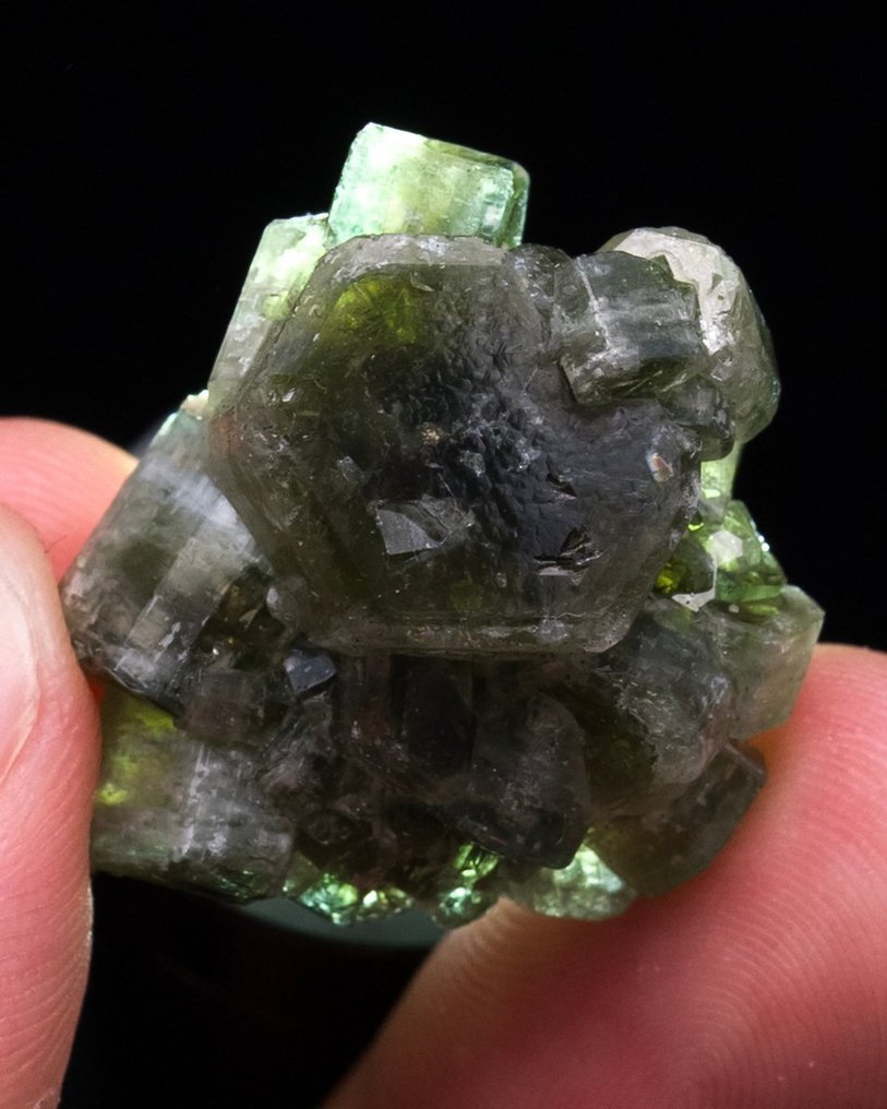 Aesthetic Gem grönt apatite flytande Med starka färgzonen - Höjd: 2.5 cm - Bredd: 2.5 cm- 15 g - (1) #2.1