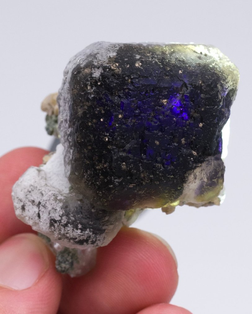 （欧洲经典）美学标本 紫色萤石 配备石英 - 高度: 4.1 cm - 宽度: 3 cm- 48 g - (1) #1.0