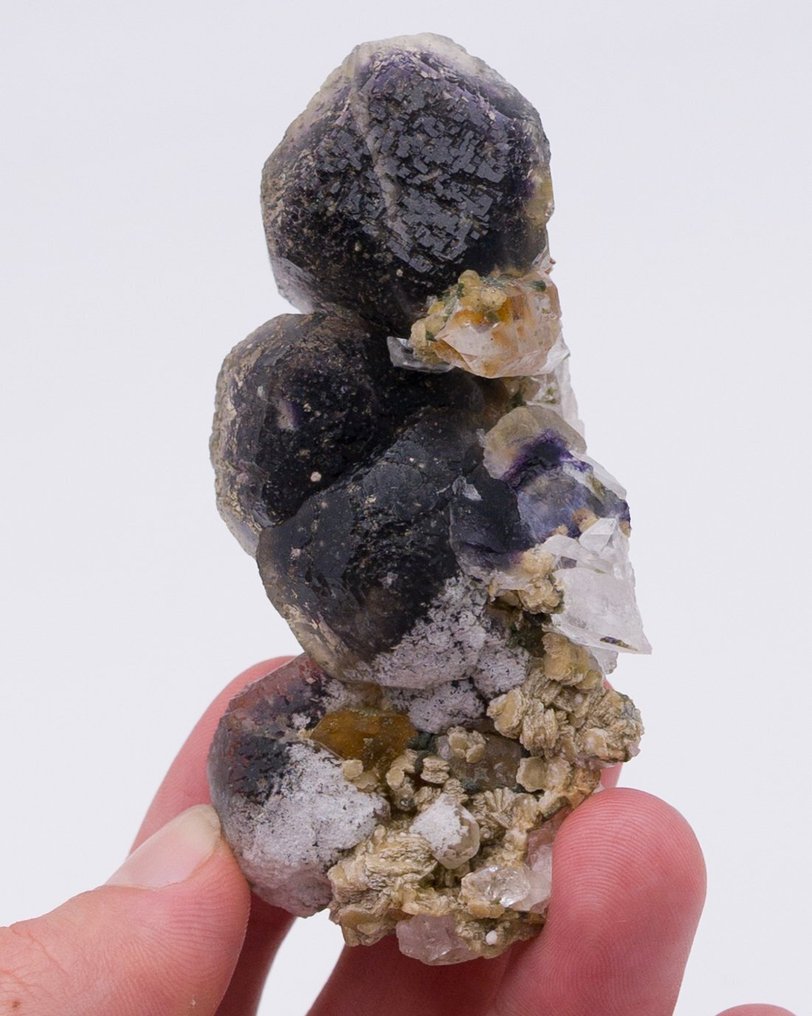 (欧洲经典)美学标本 紫色萤石 含有石英和菊石 - 高度: 8.4 cm - 宽度: 4.3 cm- 104 g - (1) #4.3