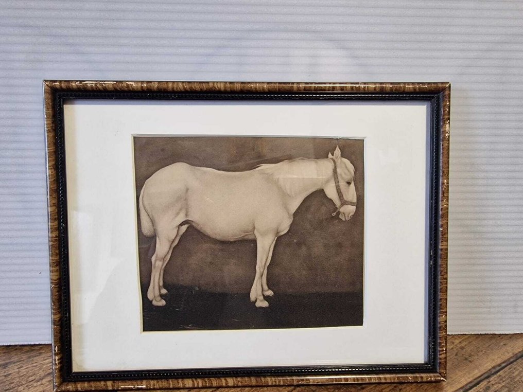 Jan Mankes (1889-1920) - Wit paard #1.0
