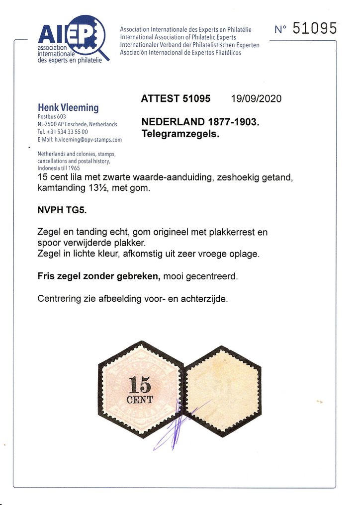 荷蘭 1879 - Telegramzegel - TG5 #2.1