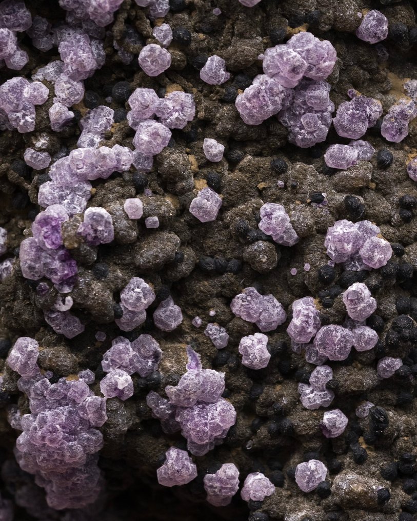 紫色萤石 在黑暗的白云母基质中 - 高度: 15.6 cm - 宽度: 8 cm- 613 g - (1) #1.0