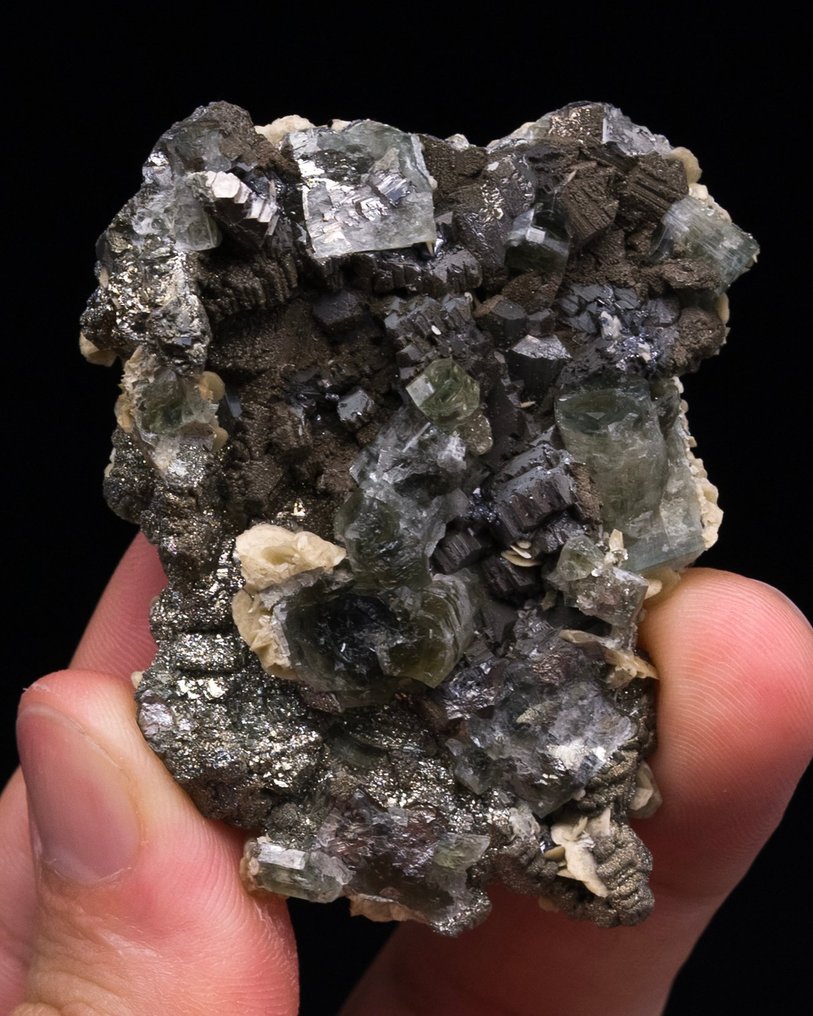 砷磷矿和磷灰石 在一块浮动的白云母和菱铁矿板上 - 高度: 5.7 cm - 闊度: 4.5 cm- 50 g - (1) #1.0