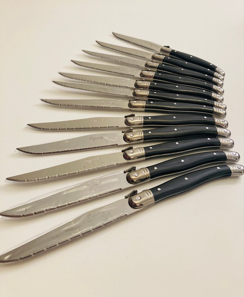 Laguiole - 餐刀 (12) - Laguiole - 鋼, 樹脂 - 12把Laguiole刀 #1.0