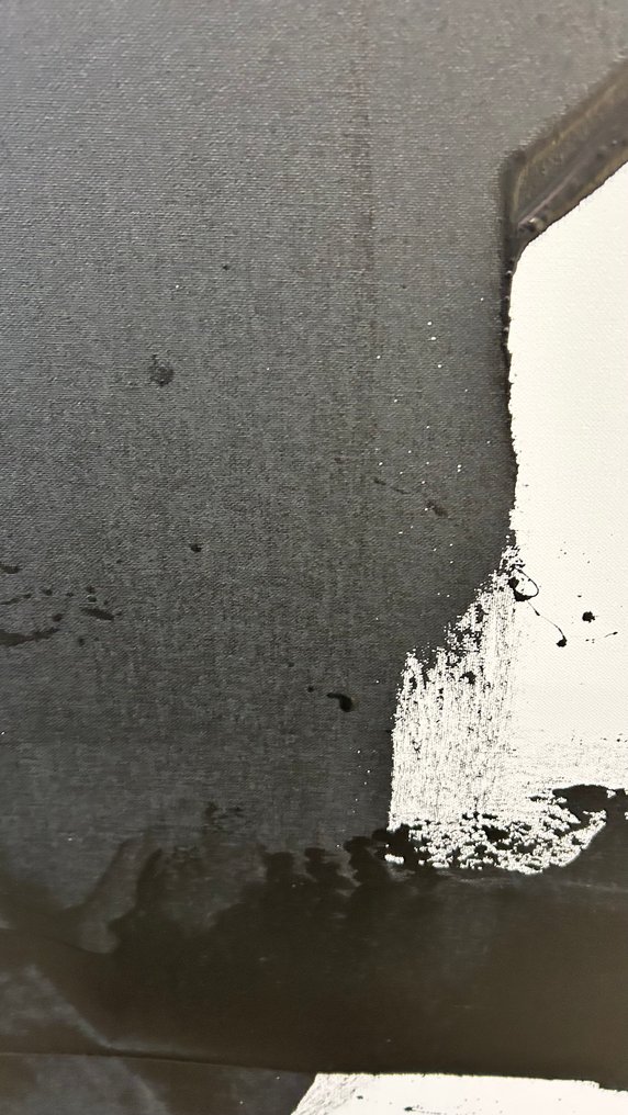 Stefanie Raus - Black 1190 XXL #4.3