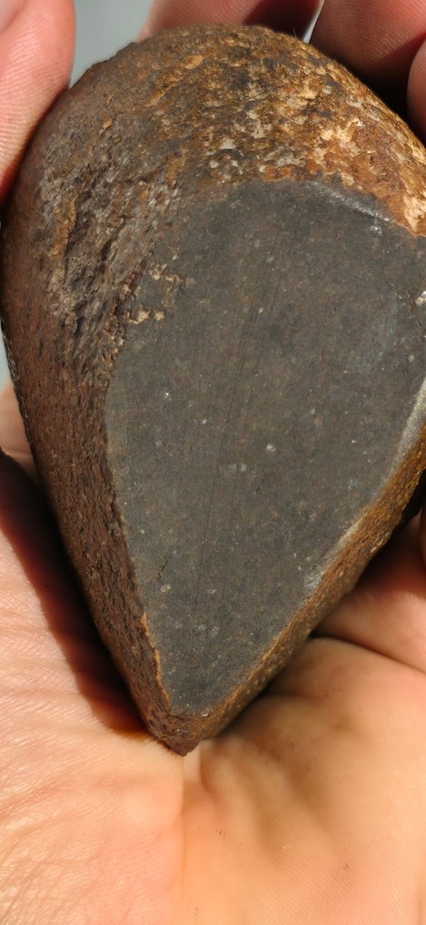 Noroeste da África 18237 Ureilite - 482 g - (1) #1.0