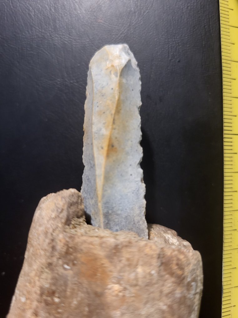 中石器时代/史前旧石器时代 骨 Hand axe - 100 mm  (没有保留价) #1.0