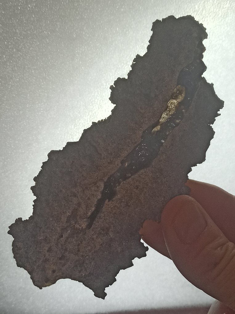 壮观的 Fulgurita。顶级品质。撒哈拉沙丘的礼物。 Impacto de Rayo。无保留价！！！ - 高度: 13 mm - 37.36 g #2.1