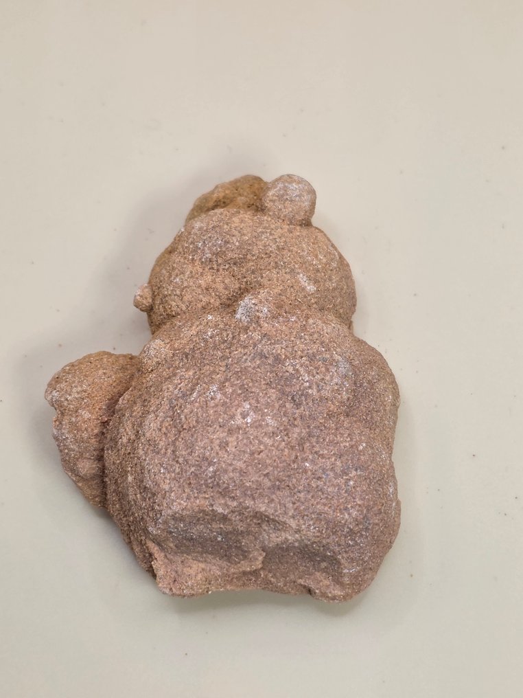 Fragmento de fósil - stromatolite - 7.5 cm  (Sin precio de reserva) #4.3