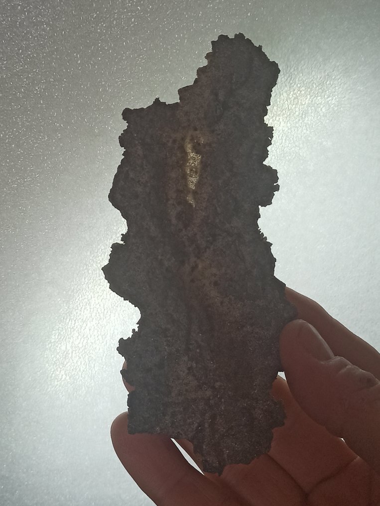 壮观的 Fulgurita。顶级品质。撒哈拉沙丘的礼物。 Impacto de Rayo。无保留价！！！ - 高度: 13 mm - 37.36 g #1.0