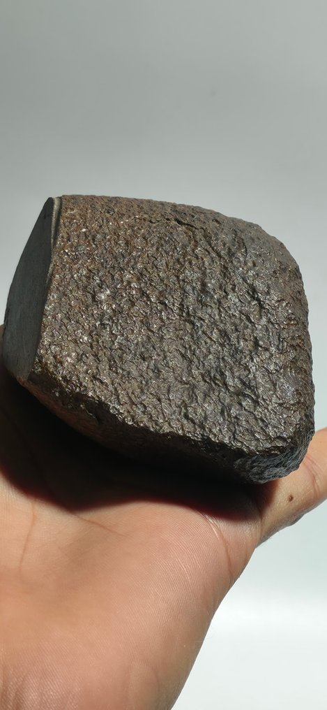 Noroeste da África 18237 Ureilite - 482 g - (1) #4.3