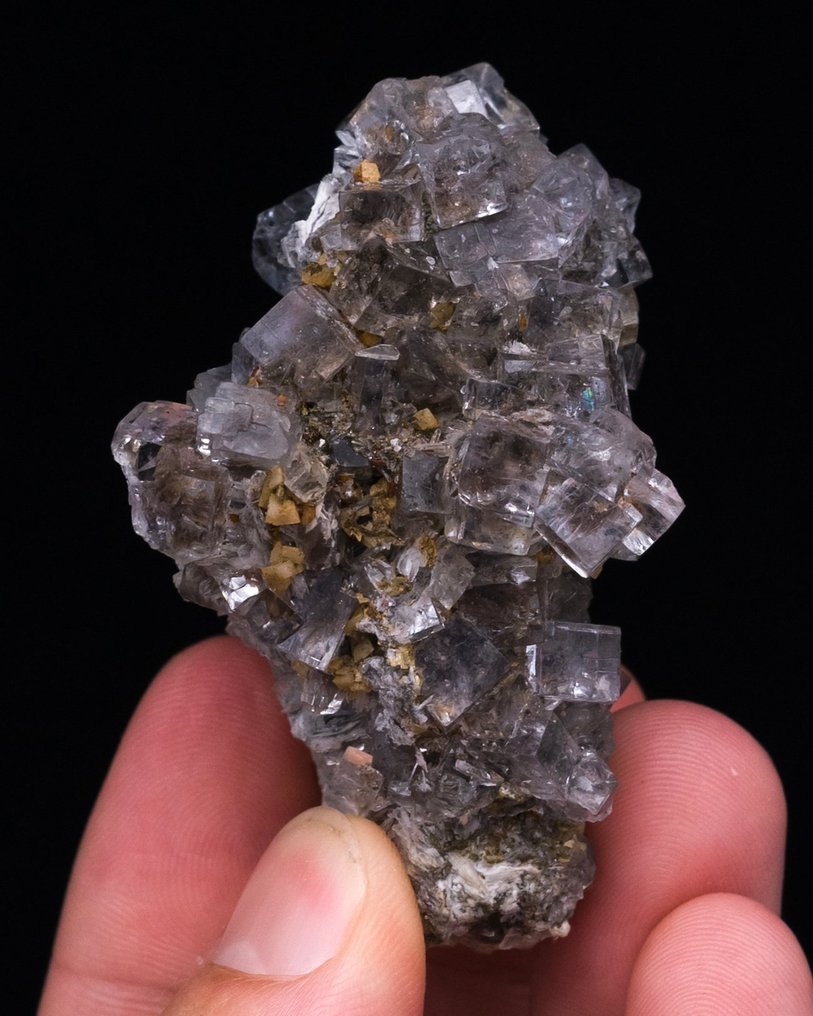 (SPANISH CLASSIC) ICE CLEAR FLUORITE On matrix - Height: 6 cm - Width: 3.7 cm- 73 g - (1) #1.0