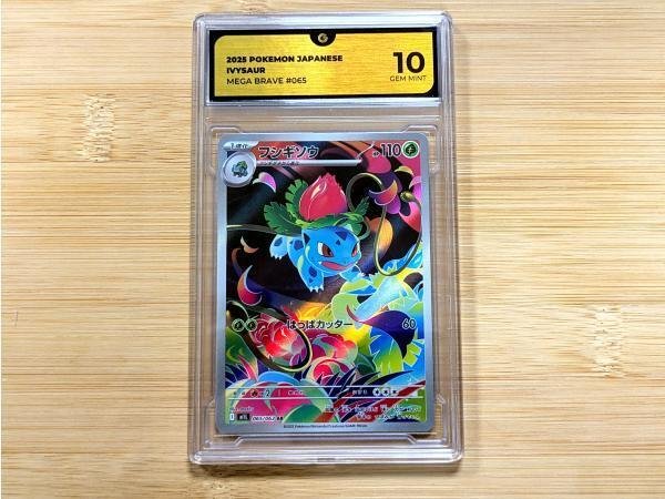Pokémon - 1 Graded card - フシギソウ / Ivysaur #065 Foil, Πλήρης τέχνη - GG 10 - Various sets - Επαληθευμένη και όχι βαθμολογημένη #1.0