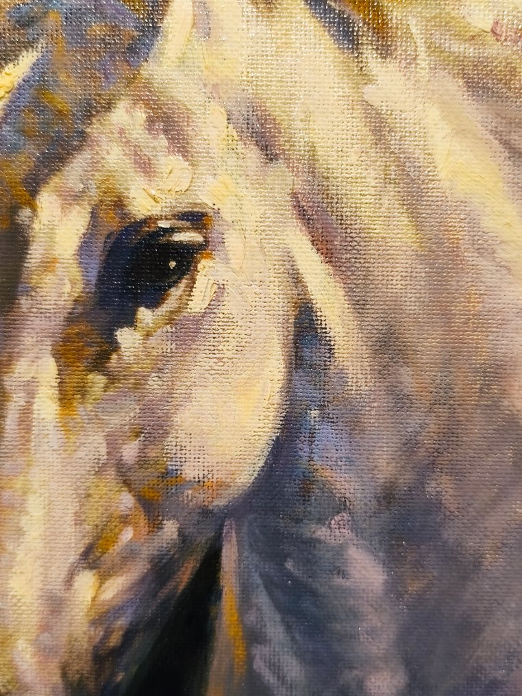 Fernando Fernández (1940-2010) - Cabeza de caballo blanco #3.2