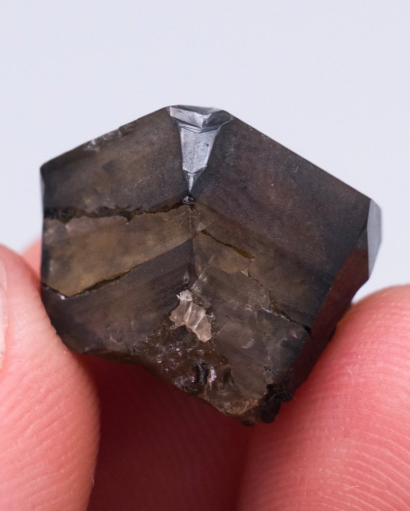 （葡萄牙经典）宝石锡石双晶 双晶体 - 高度: 1.4 cm - 宽度: 1.6 cm- 7 g - (1) #4.3