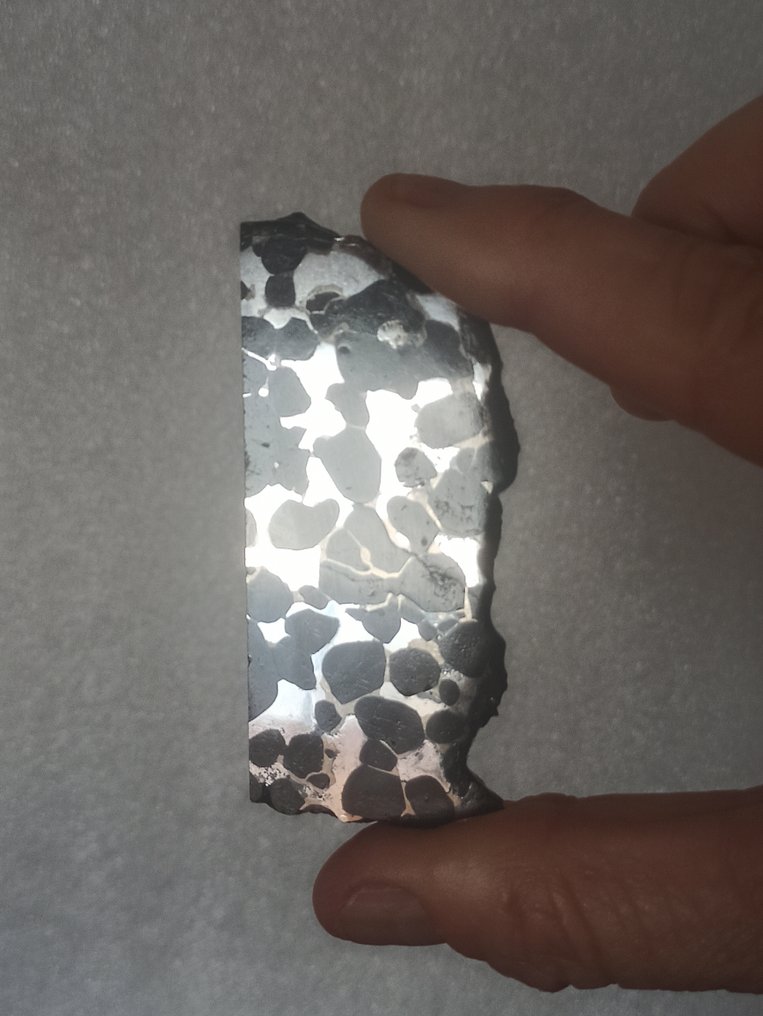 SERICHO - 巴拉石陨石 - 大抛光切片。无底价！！！ - 36.14 g #1.0