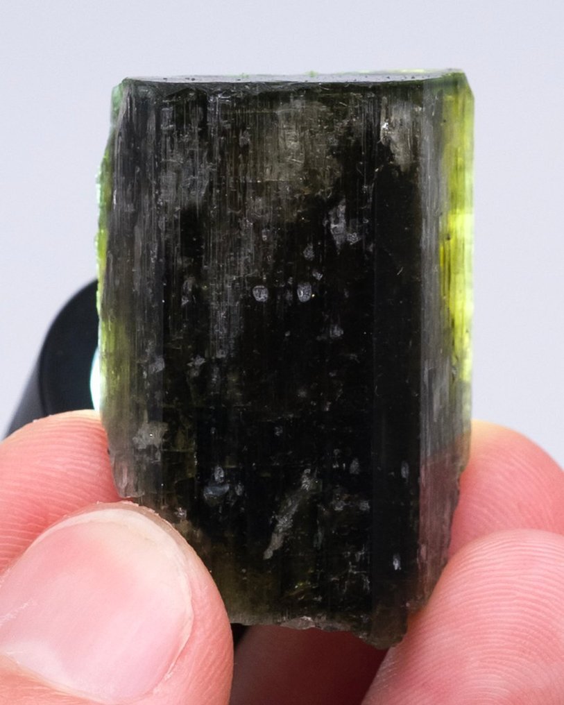 (EUROPEAN CLASSIC) grüner Apatit Einkristall - Höhe: 3.4 cm - Breite: 2.4 cm- 27 g - (1) #4.3