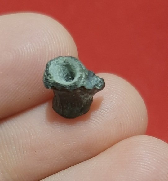 Mycterosaurus longiceps - Απολιθωμένο οστό - Mycterosaurus longiceps  (χωρίς τιμή ασφαλείας) #3.2