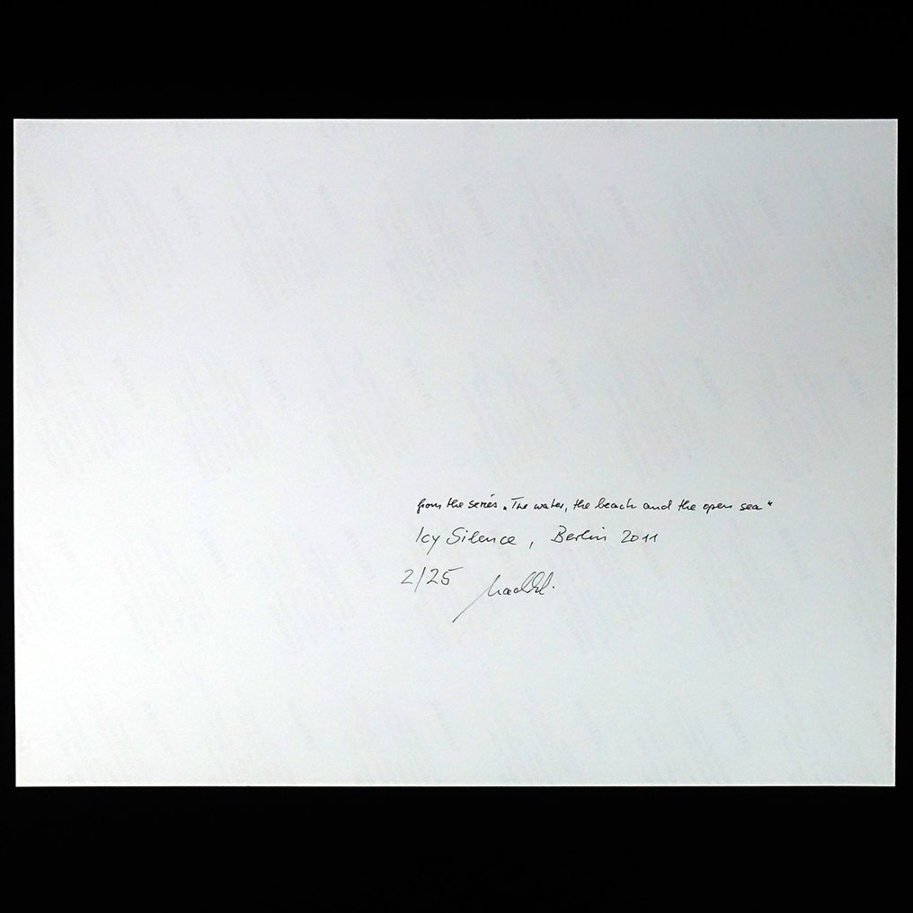 Frank Machalowski - Icy Silence #2.1