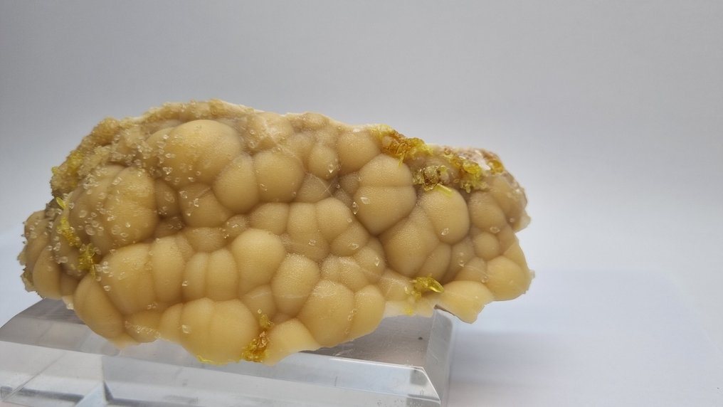 Strontianite Cristalli su matrice - Altezza: 15 cm - Larghezza: 9 cm- 956 g - (1) #4.3