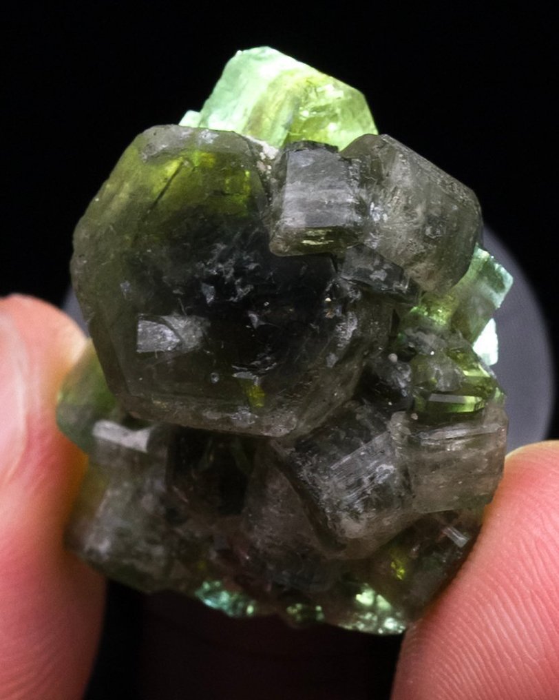 Aesthetic Gem grönt apatite flytande Med starka färgzonen - Höjd: 2.5 cm - Bredd: 2.5 cm- 15 g - (1) #3.2