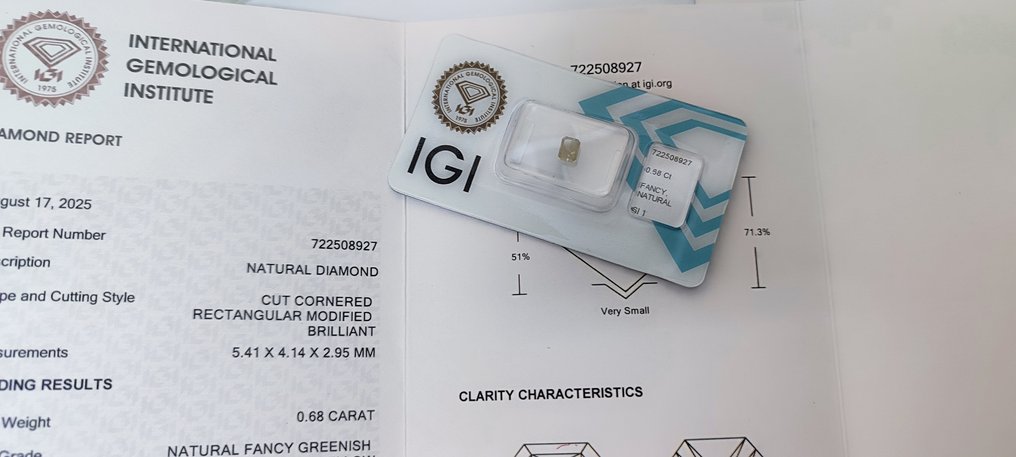 1 pcs Timantti  (Luonnollinen)  - 0.68 ct - Suorakulmio - SI1 - Kansainvälinen gemologinen instituutti (IGI) #1.0