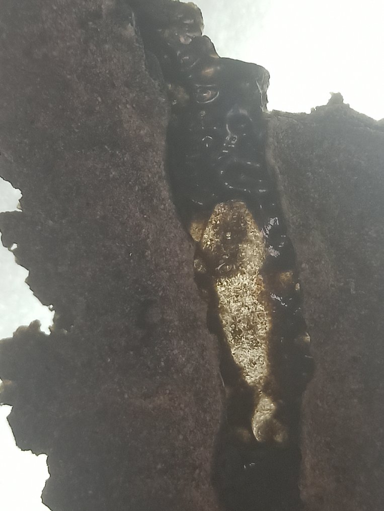 壮观的 Fulgurita。顶级品质。撒哈拉沙丘的礼物。 Impacto de Rayo。无保留价！！！ - 高度: 13 mm - 37.36 g #3.2